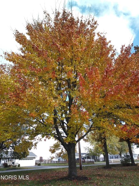 Tiny photo for 14121 Township Rd 213, Findlay, OH 45840 (MLS # 10005986)