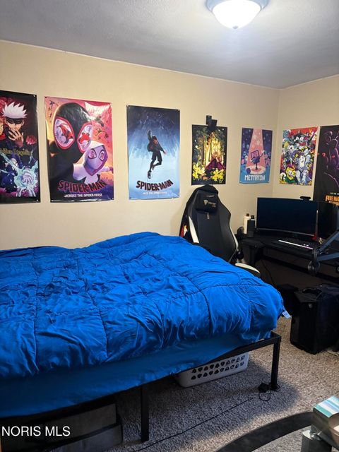 Tiny photo for 221 Orville Drive, Toledo, OH 43612 (MLS # 10004581)