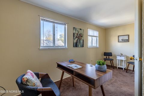 Tiny photo for 569 Apple Avenue, Toledo, OH 43609 (MLS # 10000874)