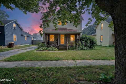 Photo of 704 Maplewood Street, Delta, OH 43515 (MLS # 10010022)