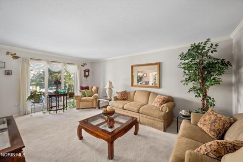 Tiny photo for 4456 Woodbriar Drive, Toledo, OH 43623 (MLS # 10004115)