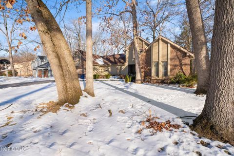 Tiny photo for 4456 Woodbriar Drive, Toledo, OH 43623 (MLS # 10004115)