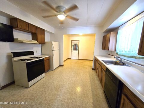 Tiny photo for 319 White Street, Toledo, OH 43605 (MLS # 10003224)