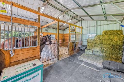 Tiny photo for 198 County Road 3, Liberty Center, OH 43532 (MLS # 10007987)