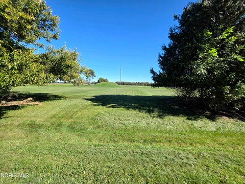 Tiny photo for 0 Washington Street, Cygnet, OH 43413 (MLS # 10014301)