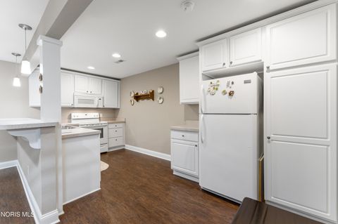Tiny photo for 14551 Reitz Road, Perrysburg, OH 43551 (MLS # 10007186)