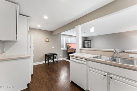 Tiny photo for 14551 Reitz Road, Perrysburg, OH 43551 (MLS # 10007186)