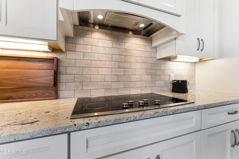 Tiny photo for 14551 Reitz Road, Perrysburg, OH 43551 (MLS # 10007186)