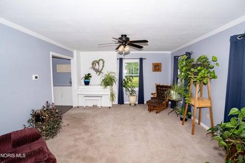 Tiny photo for 12583 Farmer Mark Road, Mark Center, OH 43536 (MLS # 10012835)