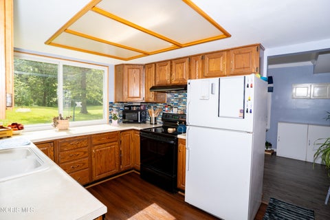 Tiny photo for 12583 Farmer Mark Road, Mark Center, OH 43536 (MLS # 10012835)