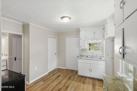 Tiny photo for 113 E Hudson Street, Toledo, OH 43608 (MLS # 10007396)