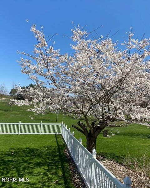 Tiny photo for 509 Washington Street, Republic, OH 44867 (MLS # 10006840)