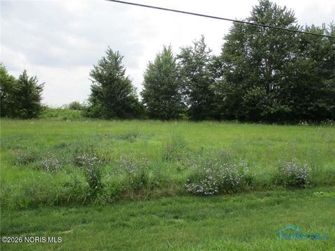 Photo of 307308 Railway Avenue, Holgate, OH 43527 (MLS # 10003786)