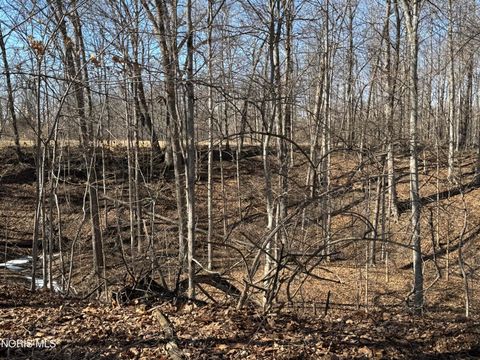 Tiny photo for 1116 Hurst Drive, Napoleon, OH 43545 (MLS # 10004822)