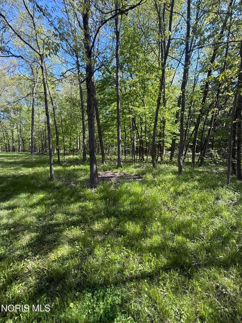 Tiny photo for 11291 Township Road 227, Findlay, OH 45840 (MLS # 10007591)