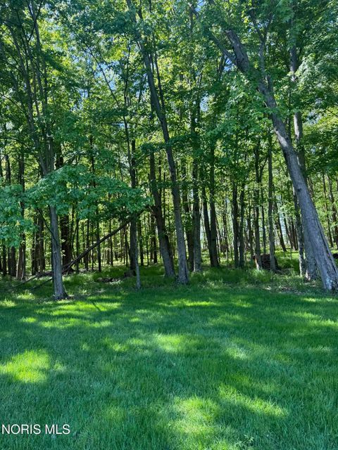 Tiny photo for 11291 Township Road 227, Findlay, OH 45840 (MLS # 10007591)