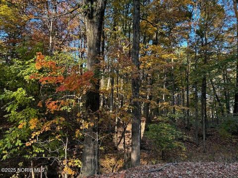 Tiny photo for 12 Road, Bryan, OH 43506 (MLS # 10000282)