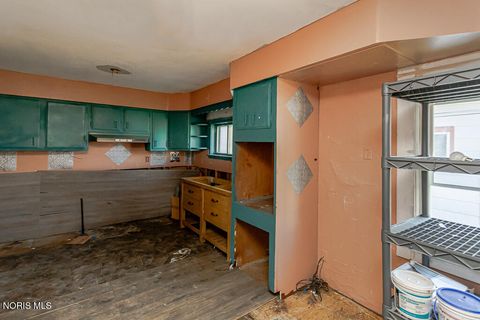 Tiny photo for 516 Geneva Avenue, Toledo, OH 43609 (MLS # 10006787)