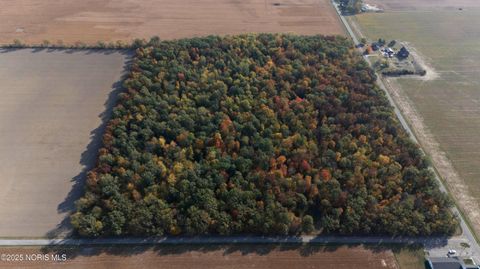 Tiny photo for County Road 18 #Lot 4, Bryan, OH 43506 (MLS # 10000721)