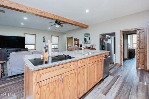 Tiny photo for 205 S Water Street, Mount Blanchard, OH 45867 (MLS # 10006161)