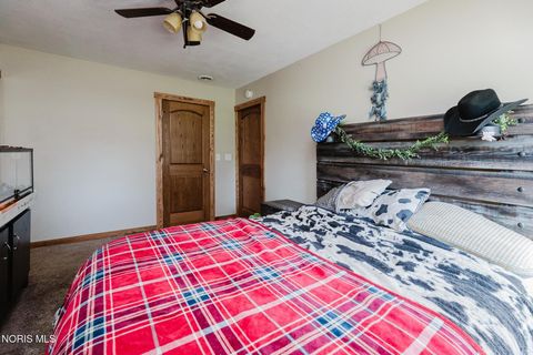 Tiny photo for 205 S Water Street, Mount Blanchard, OH 45867 (MLS # 10006161)