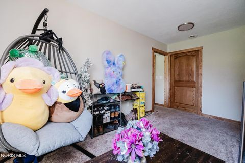 Tiny photo for 205 S Water Street, Mount Blanchard, OH 45867 (MLS # 10006161)