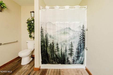 Tiny photo for 205 S Water Street, Mount Blanchard, OH 45867 (MLS # 10006161)