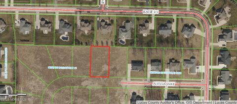 Photo of 8514 Alyssa Way #250, Monclova, OH 43542 (MLS # 10000630) Photo of 8514 Alyssa Way #250, Monclova, OH 43542 (MLS # 10000630)