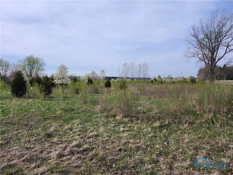 Tiny photo for 11500 Stiles Road, Whitehouse, OH 43571 (MLS # 10011105)
