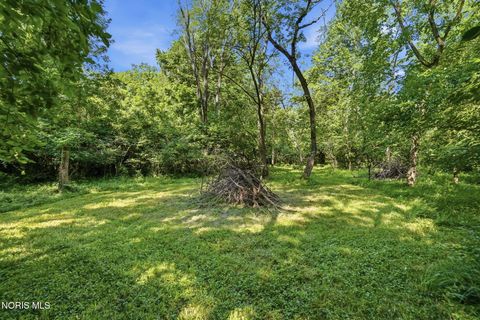 Tiny photo for 6921 N River Road, Waterville, OH 43566 (MLS # 10010343)