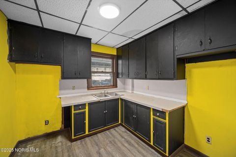 Tiny photo for 816 Geneva Avenue, Toledo, OH 43609 (MLS # 10002586)