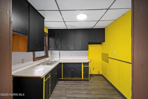 Tiny photo for 816 Geneva Avenue, Toledo, OH 43609 (MLS # 10002586)