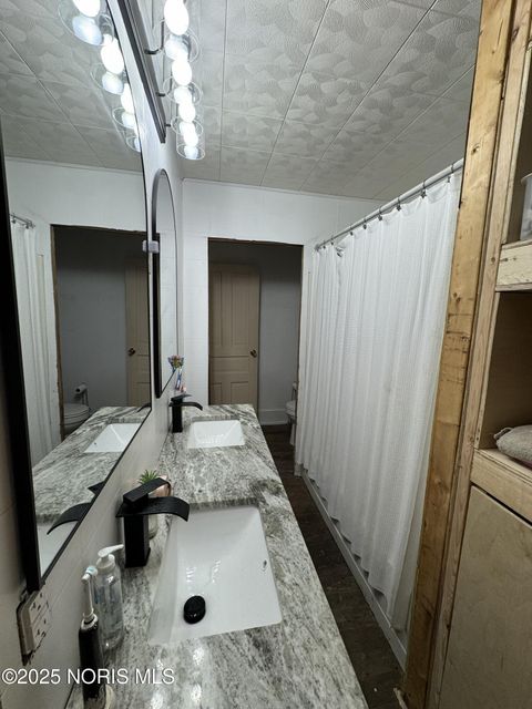 Tiny photo for 208 N Henry Street, Malinta, OH 43535 (MLS # 10000706)