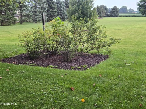 Tiny photo for 22826 Burlington Gardens Street, Archbold, OH 43502 (MLS # 10012839)