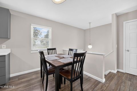 Tiny photo for 4439 Vogel Drive, Toledo, OH 43623 (MLS # 10010039)