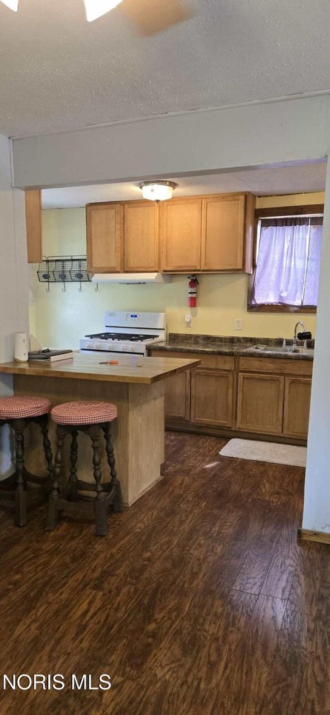 Tiny photo for 304 W Lynn Street, Stryker, OH 43557 (MLS # 10008170)