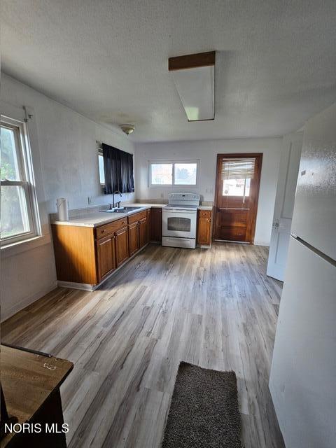 Tiny photo for 2629 Massillon Street, Toledo, OH 43605 (MLS # 10014059)
