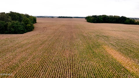 Tiny photo for 0 State Route 81, Ohio City, OH 45874 (MLS # 10014288)