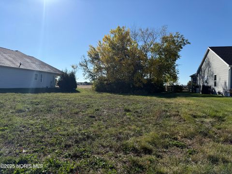 Tiny photo for 11159 Whitetail Way, Whitehouse, OH 43571 (MLS # 10000462)