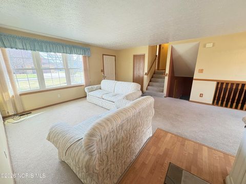 Tiny photo for 343 Hoelter Avenue, Luckey, OH 43443 (MLS # 10002986)