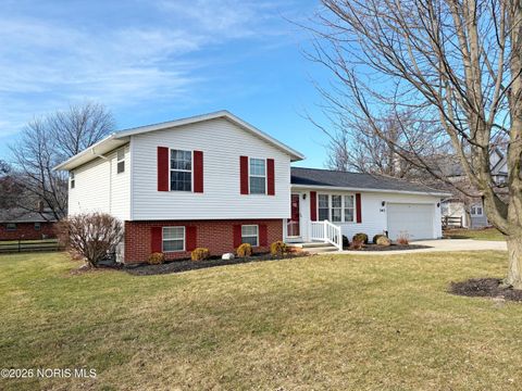 Photo of 343 Hoelter Avenue, Luckey, OH 43443 (MLS # 10002986)