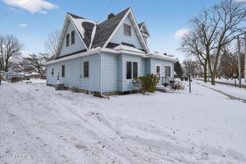 Photo of 302 Adrian Street, Delta, OH 43515 (MLS # 10003654)