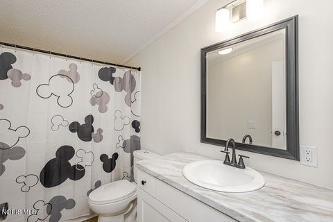 Tiny photo for 17830 County Road C, Wauseon, OH 43567 (MLS # 10008047)