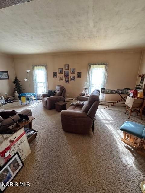 Tiny photo for 401 S Fayette Street, Fayette, OH 43521 (MLS # 10006886)