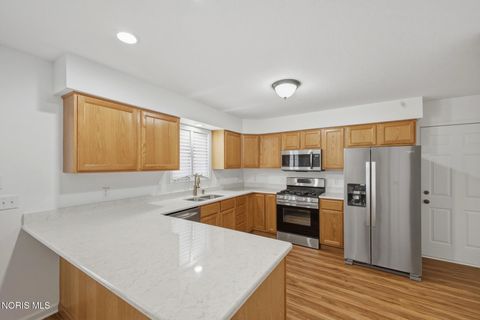 Tiny photo for 7342 Woodshire Lane, Holland, OH 43528 (MLS # 10004376)