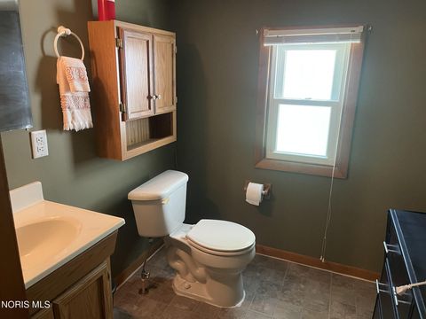 Tiny photo for 718 Park Street, Napoleon, OH 43545 (MLS # 10008899)