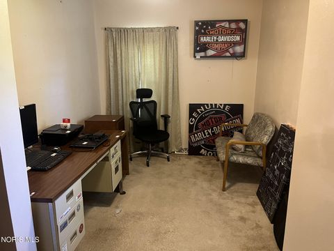 Tiny photo for 718 Park Street, Napoleon, OH 43545 (MLS # 10008899)