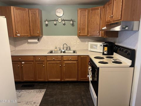 Tiny photo for 718 Park Street, Napoleon, OH 43545 (MLS # 10008899)
