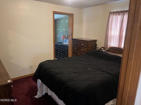 Tiny photo for 718 Park Street, Napoleon, OH 43545 (MLS # 10008899)