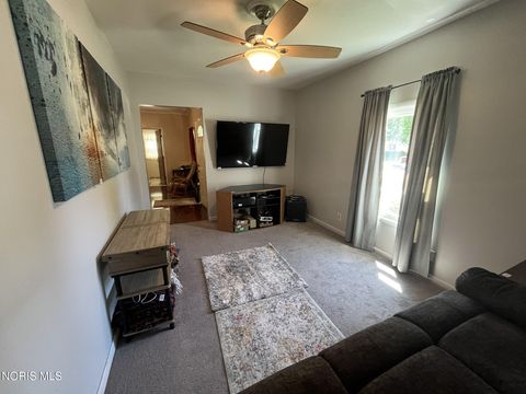Tiny photo for 718 Park Street, Napoleon, OH 43545 (MLS # 10008899)